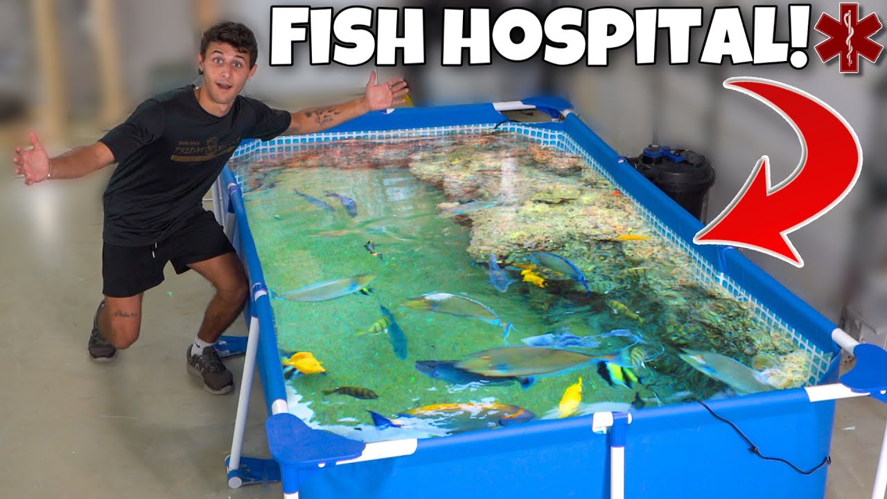Building quarantine pond for my new exotic fish!