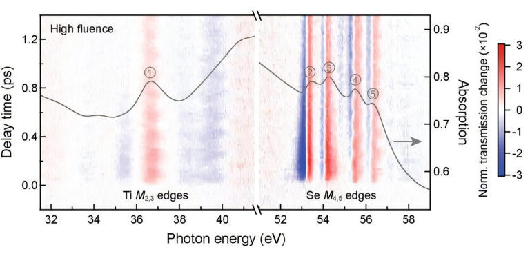 Ultrafast core-level spectroscopy reveals elusive precursors of exciton ...