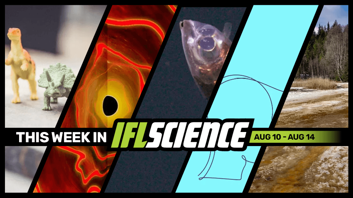 Why were there no mouse-sized dinosaurs, temperatures in the Arctic Circle reach 35°C, and much more this week