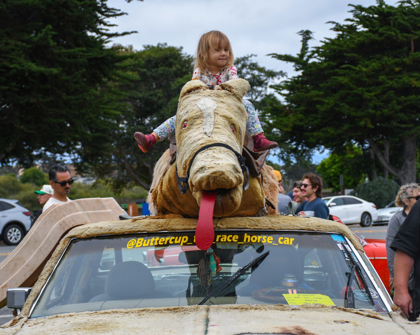 Photos: Concours d'Lemons celebrates the worst of the worst