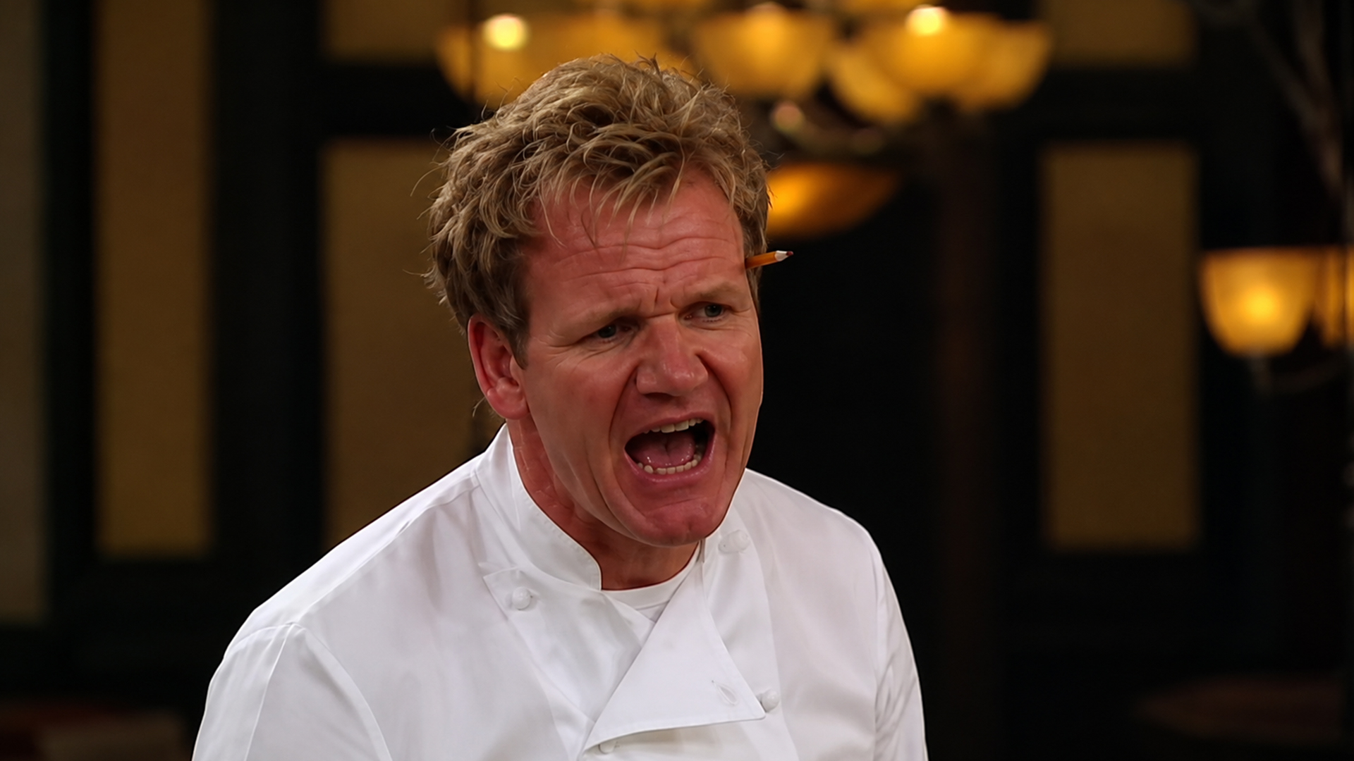 Chef Ramsay furious as Coi sends out cold burgers
