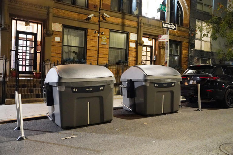 Posh Upper East Siders lash out at plan to fight rats by getting trash ...