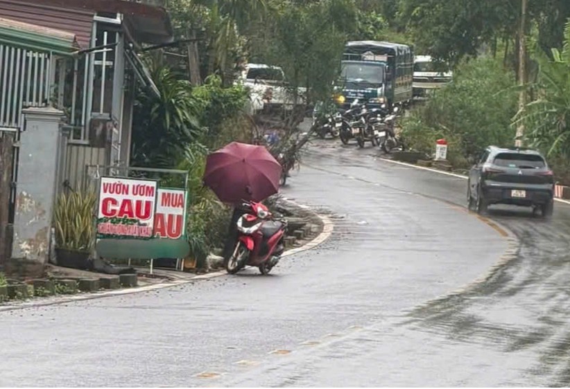 Khởi tố thầy giáo thể dục ở Đắk Lắk sát hại nữ nhân viên thư viện