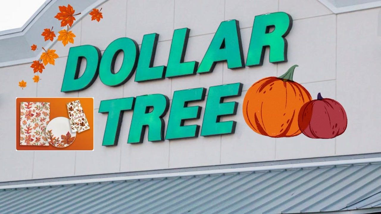 Celebrate cozy season at Dollar Tree: 9 affordable fall decor finds
