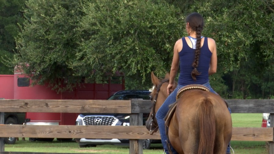 Future of Foley Horse Arena uncertain amid potential sale