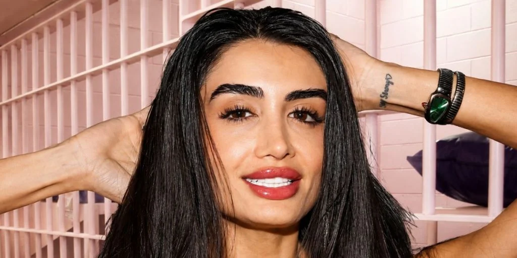 Model faces felony case after new arrest in California