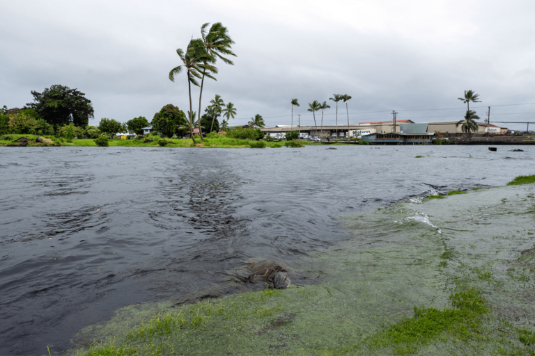 Hurricane Lala tracker as storm sparks power outage in Hawaii