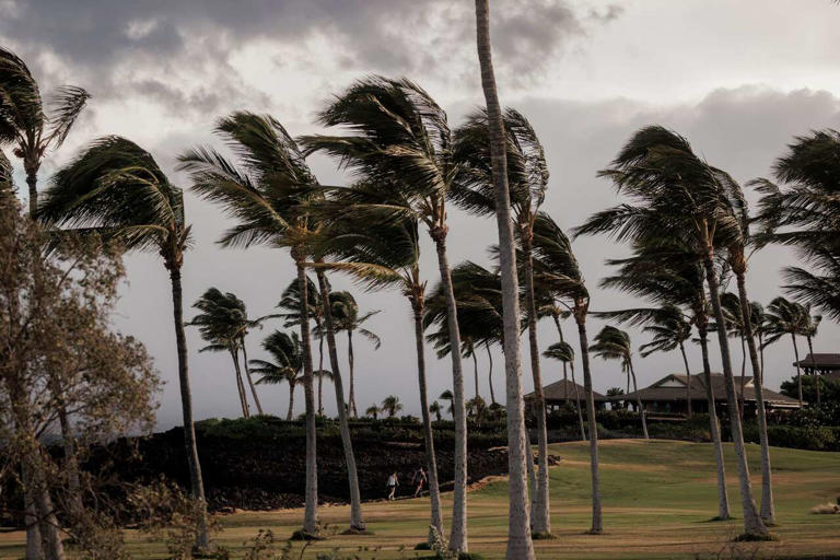 Hurricane Lala cuts power to thousands in Hawaii - rural outages could ...