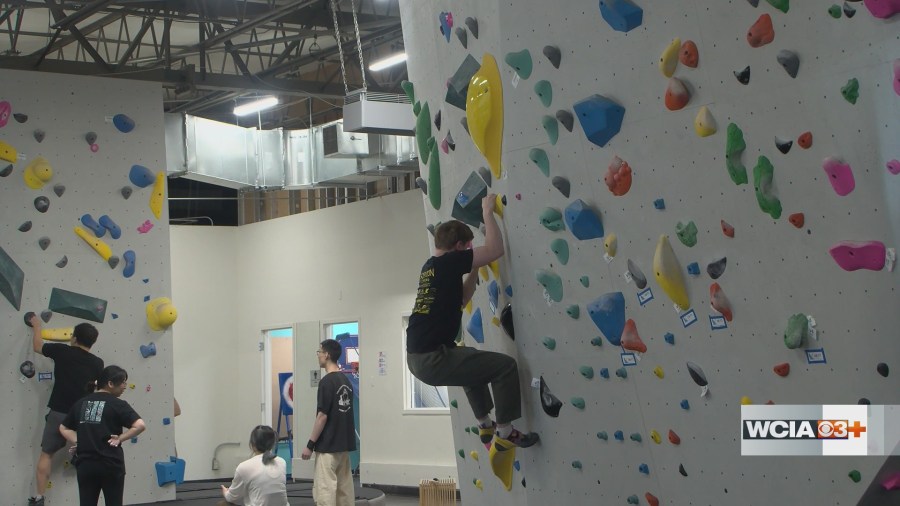 One-of-a-kind business in Champaign celebrates first anniversary