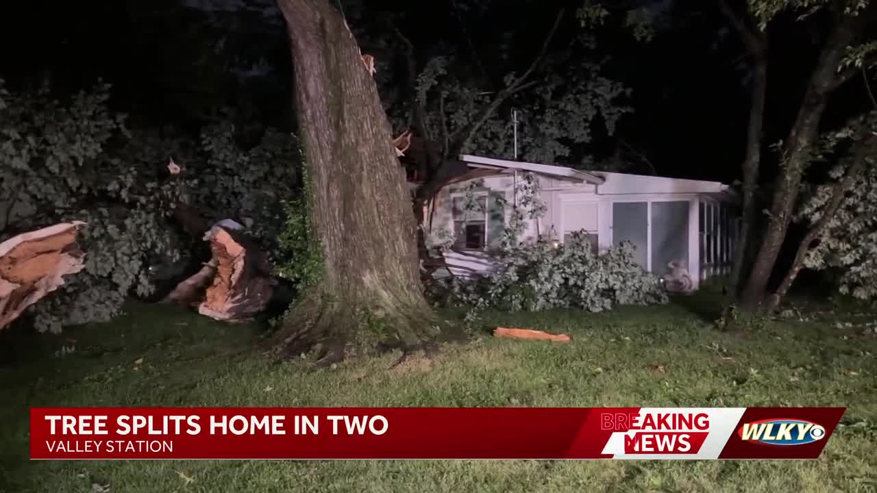 Tree splits Valley Station home in two