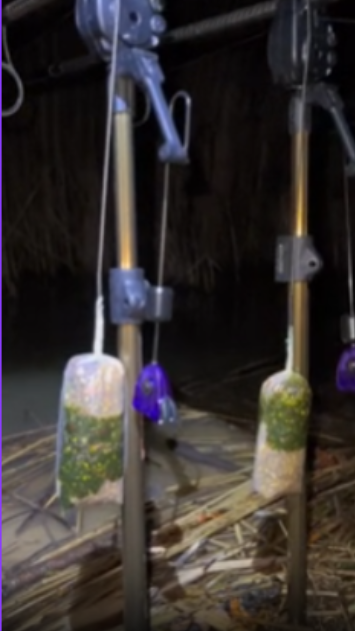 A simple carp fishing rig technique worth knowing