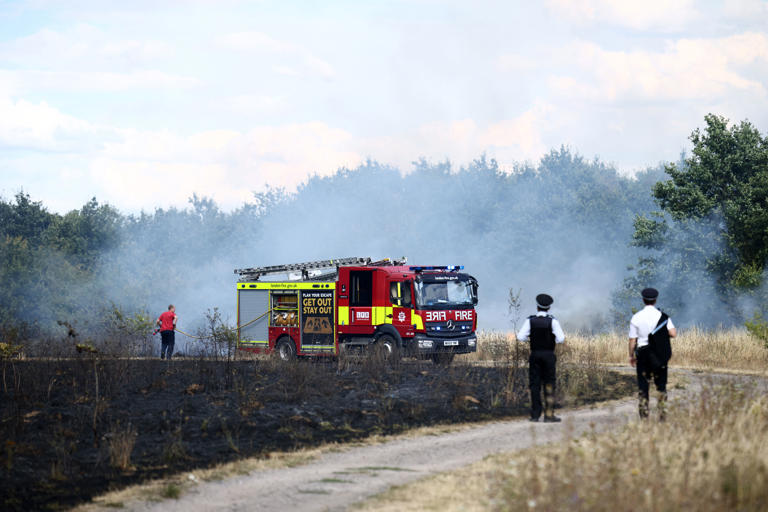 Charity says government wildfire alert put abuse victims at risk