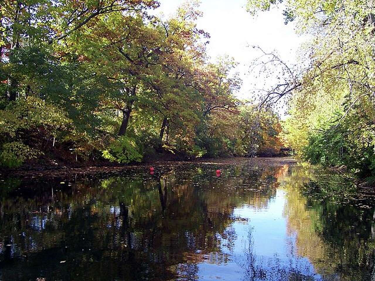 Cedar River water tests show E coli within state standards