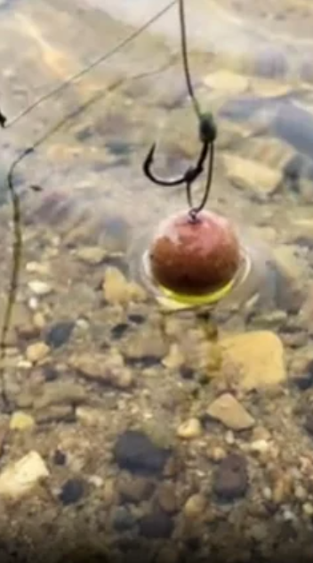 The key features behind this popular carp rig setup