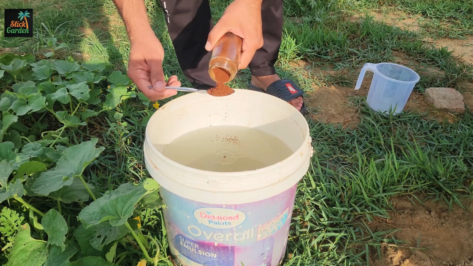 Homemade fertilizer secrets using everyday kitchen waste