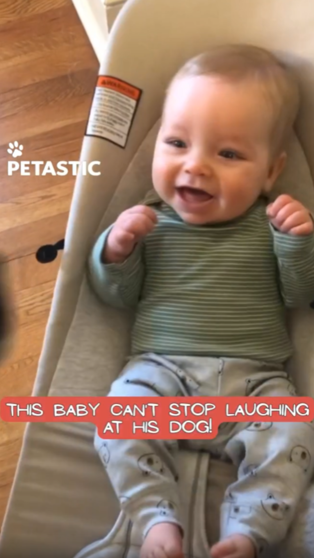 Family dog delights infant with uncontrollable laughter