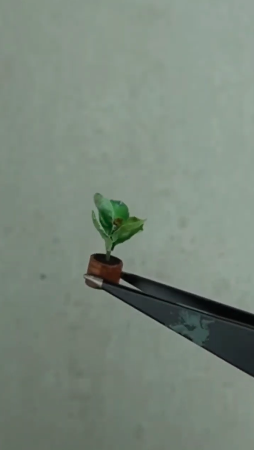 Easy miniature crafts you can make at home