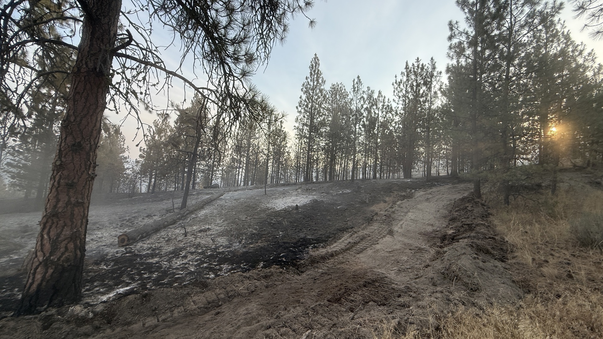 The Reevas Basin fire has burned 250 acres in Okanogan County