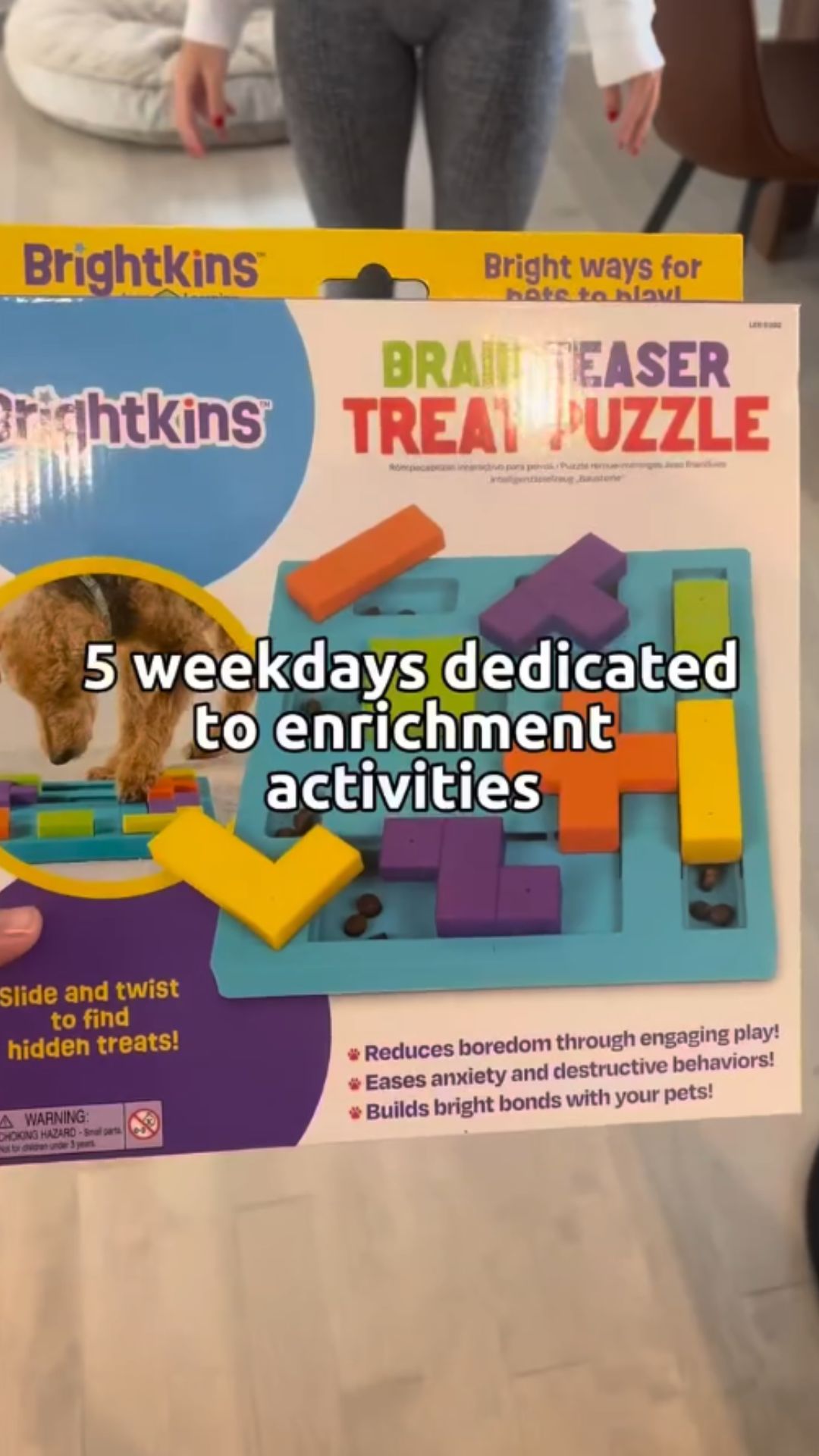5 dog enrichment games for busy weekdays
