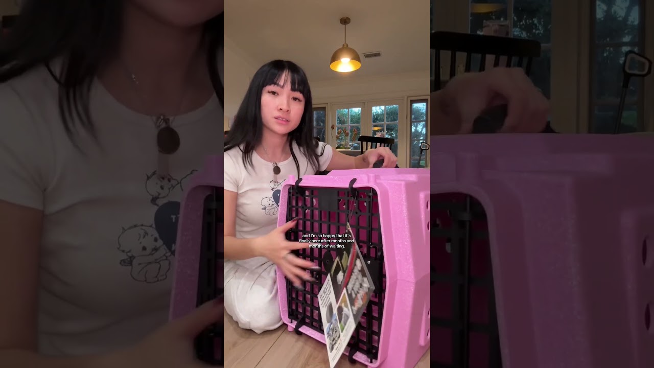 Exciting puppy training journey: Picking up a brand new dog crate