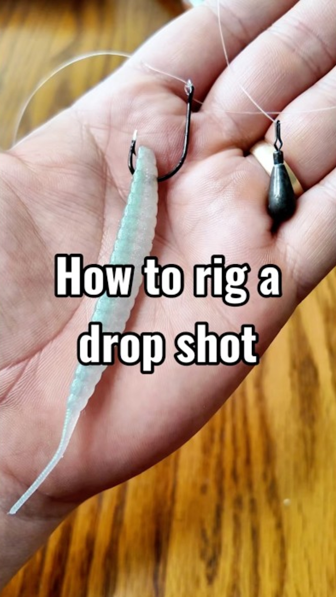 How to rig a drop shot for bass the simple setup that gets bites