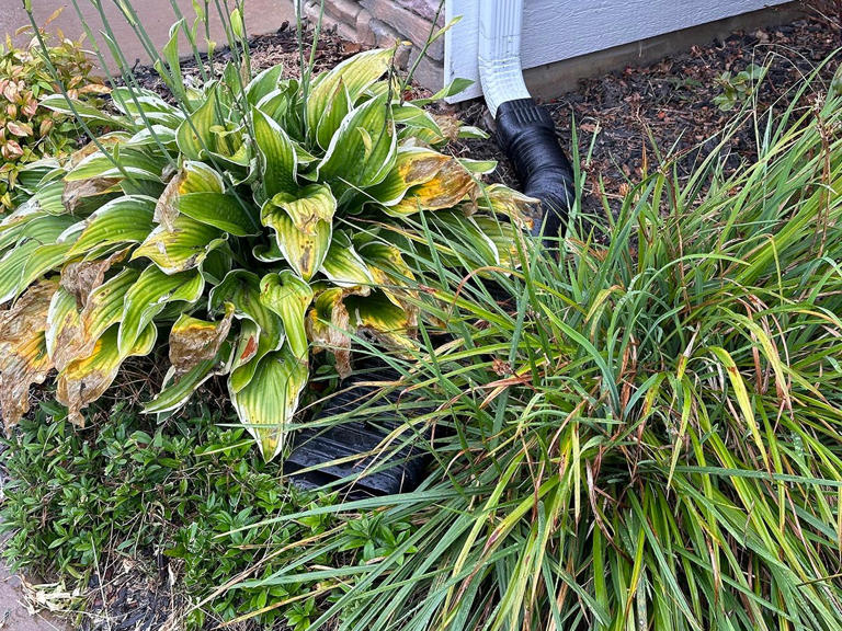 The best downspout extensions of 2026, tested and reviewed
