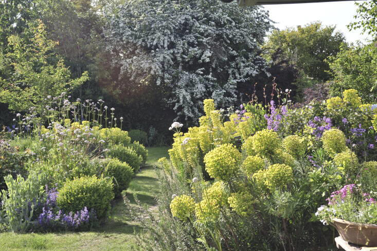 A garden from scratch: How to build a strong foundation