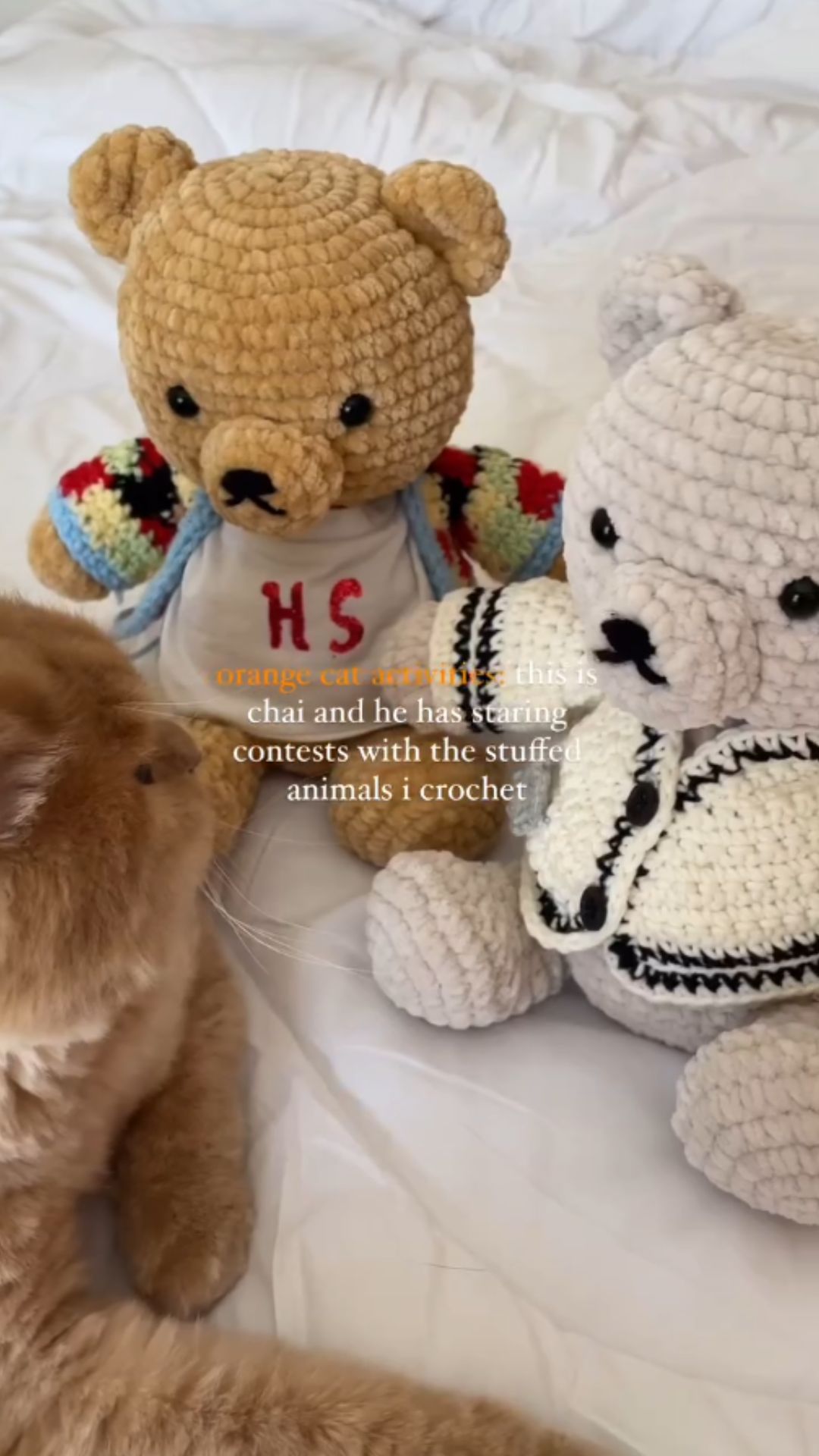 Crochet teddy bear ideas with stylish DIY cardigans
