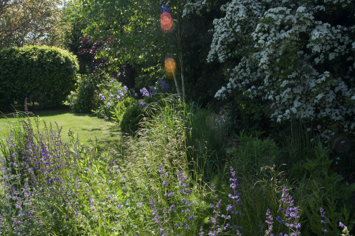 A garden from scratch: How to build a strong foundation