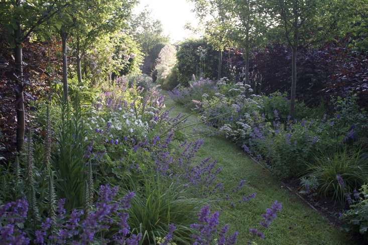 A garden from scratch: How to build a strong foundation