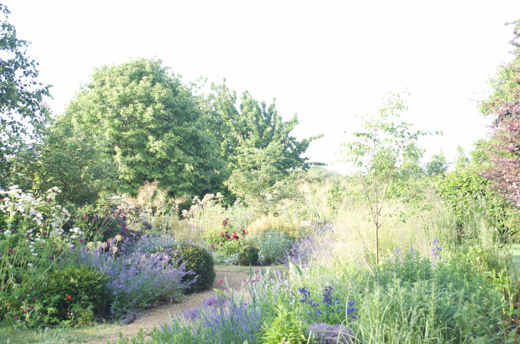 A garden from scratch: How to build a strong foundation
