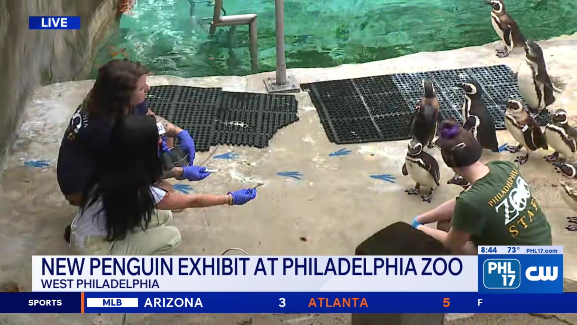 New penguin exhibit at the Philadelphia Zoo | PHL17 Morning News