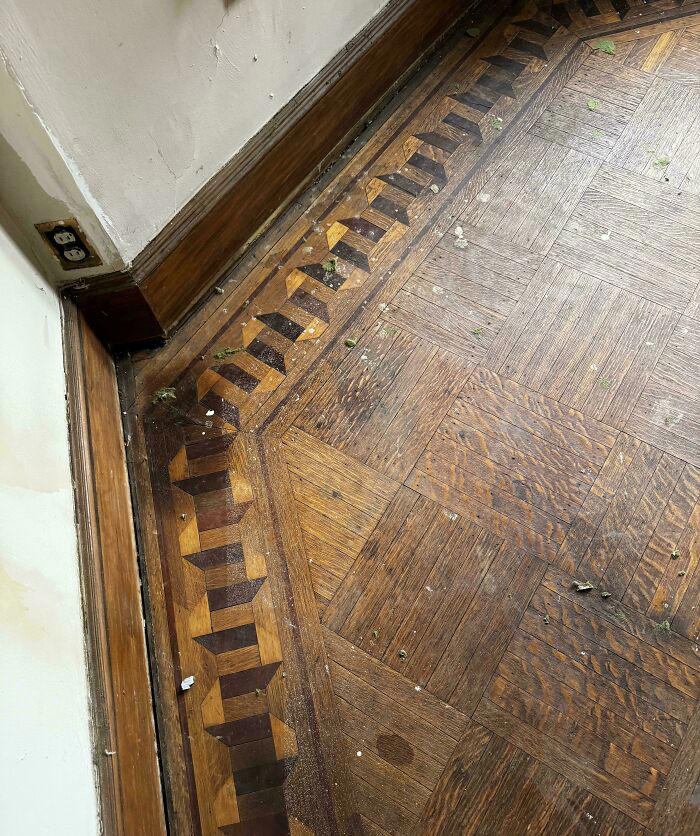 Secrets behind old walls: 50 intriguing finds discovered in homes