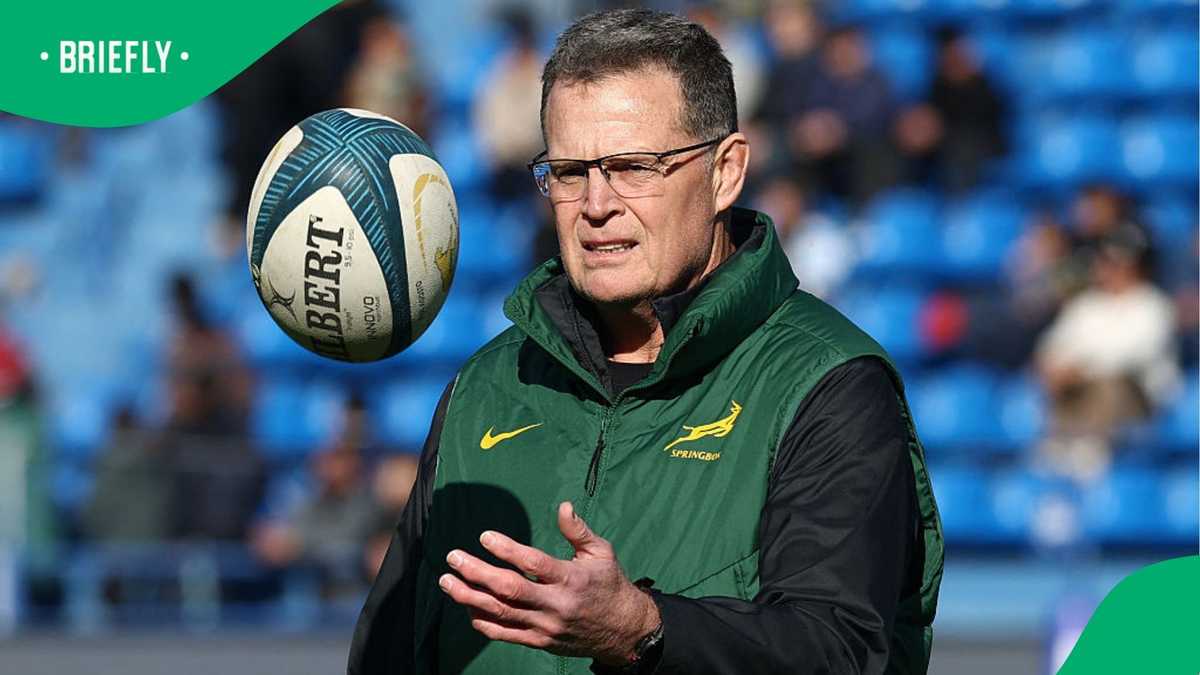 Rassie Erasmus warned as Wallabies tear apart Springboks blueprint in ...