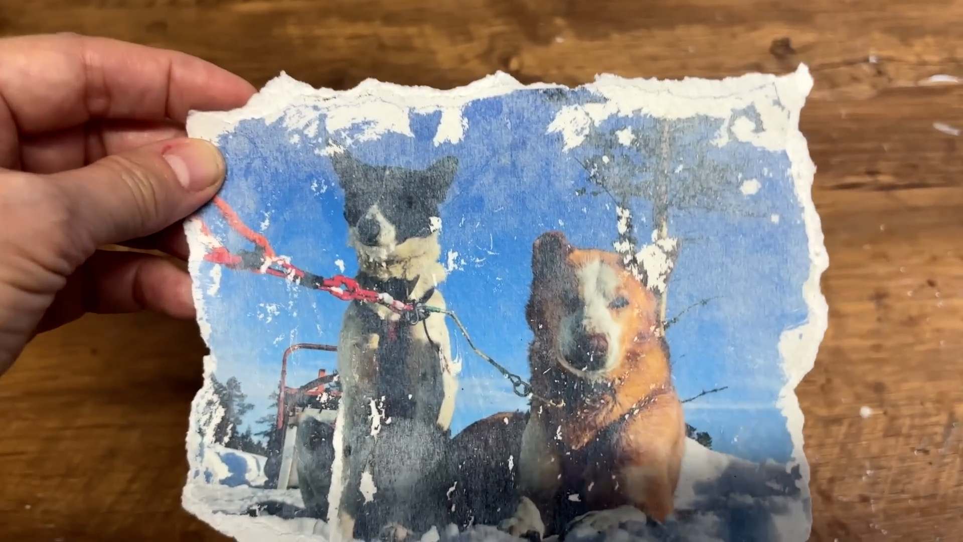 Turn magazine pages into translucent art with Mod Podge