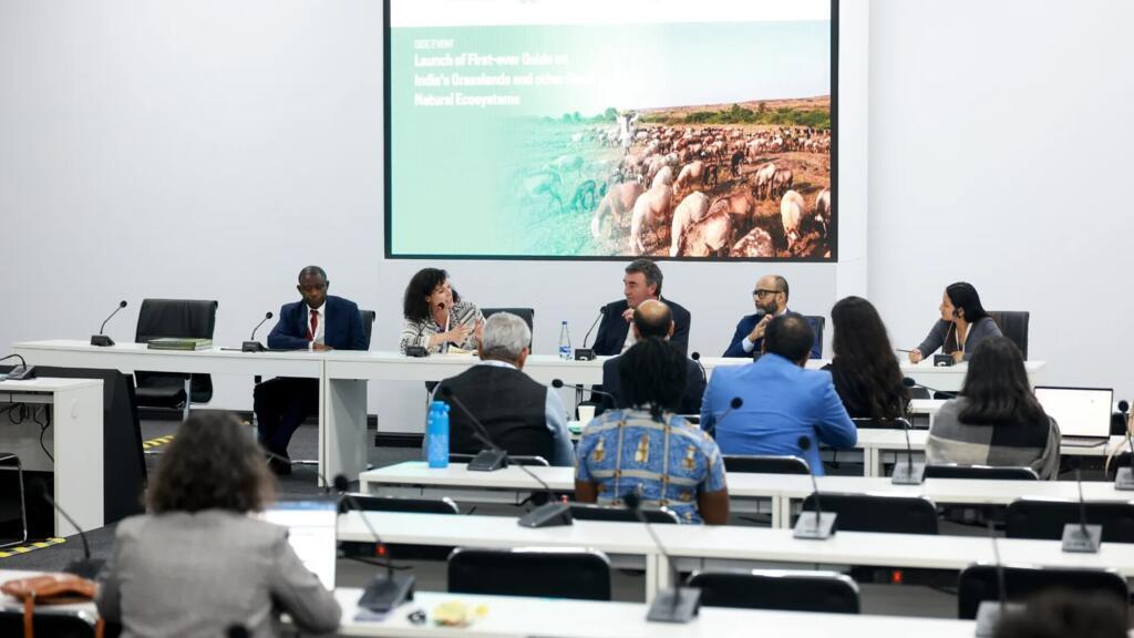 COP17 abre na Mongólia sob alerta global: desertificação já ameaça até a França
