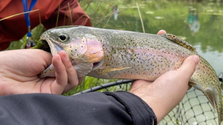 Fish salvage order issued for Karolyn’s Pond near Elk City