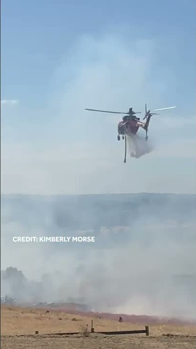 Hawk fire response in El Dorado County