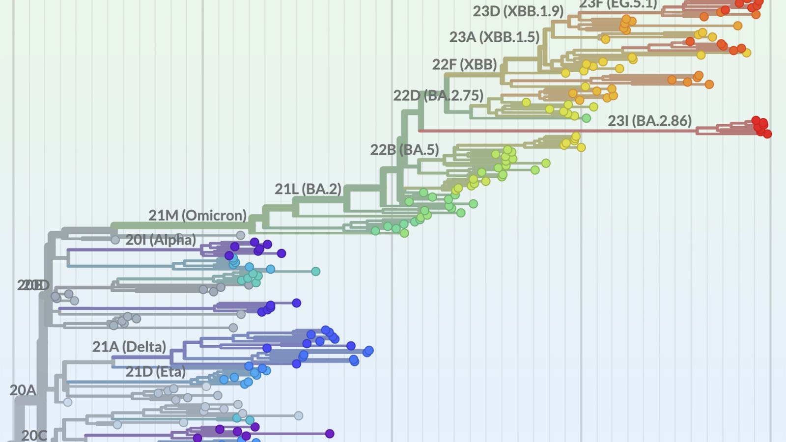 Nextstrain aims to boost tracking of virus evolution