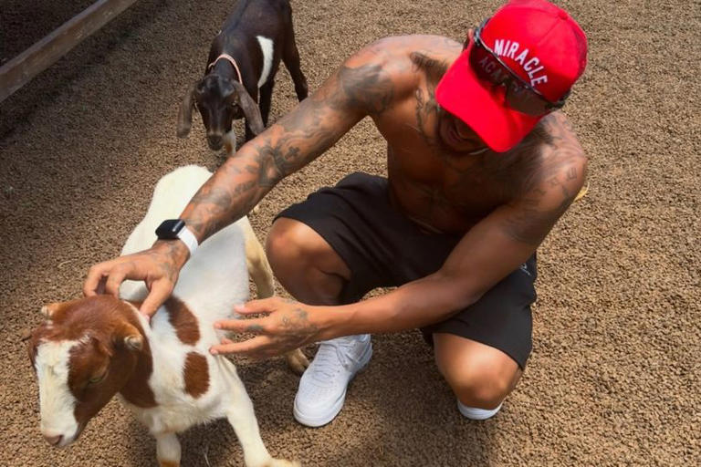 Goat and Lewis Hamilton
