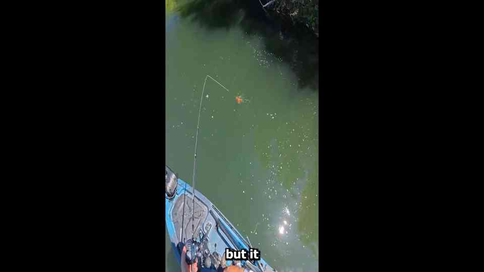 Fishing with Ayo: Best fishing rod tips and videos