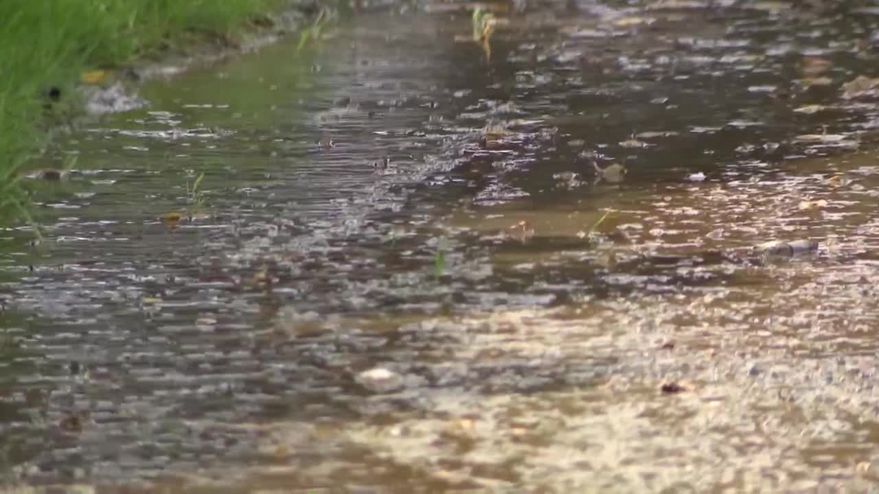 Park City residents looking for source of water flooding basements and ...