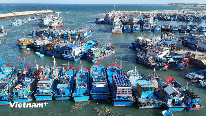 Gỡ “thẻ vàng” IUU, phát triển nghề cá bền vững: Cần thực thi quyết liệt từ cơ sở