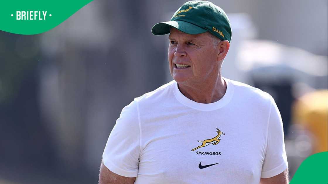 Springboks vs Wallabies kick-off time and key details for Sunday’s ...