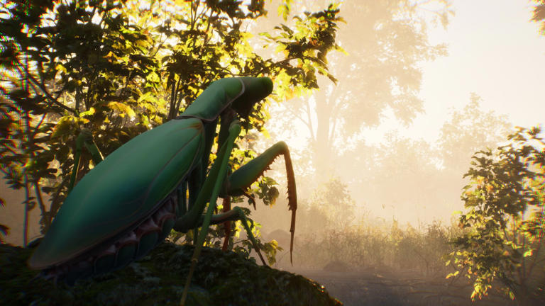 New survival game on Steam plays an Uno reverse card on Grounded 2