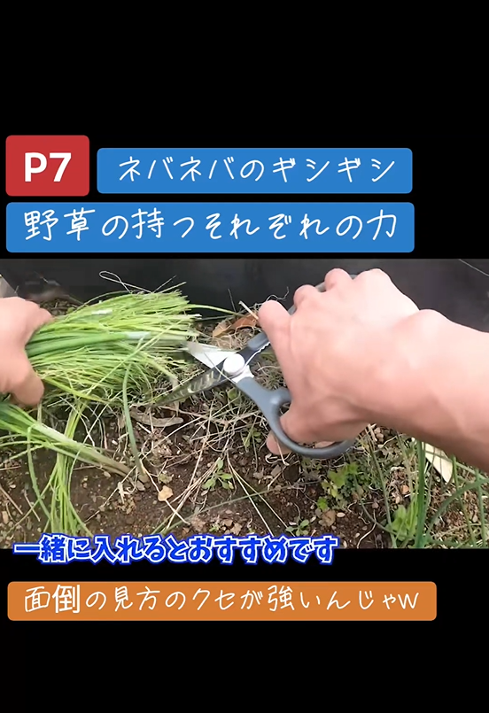 そこら辺の野草がラーメンに? ギシギシとノビルの味わい