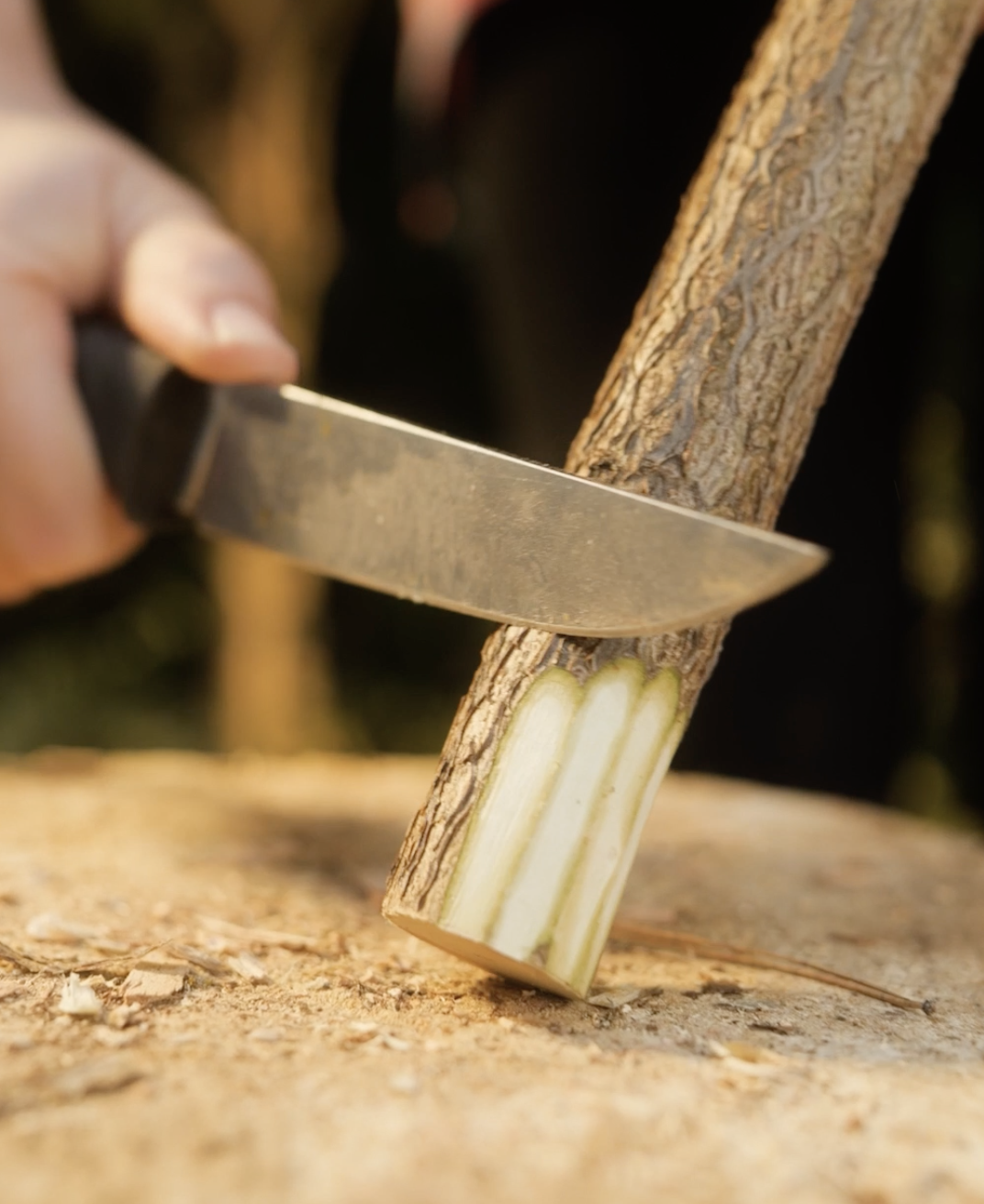 Multifunctional gear that simplifies your outdoor adventures!