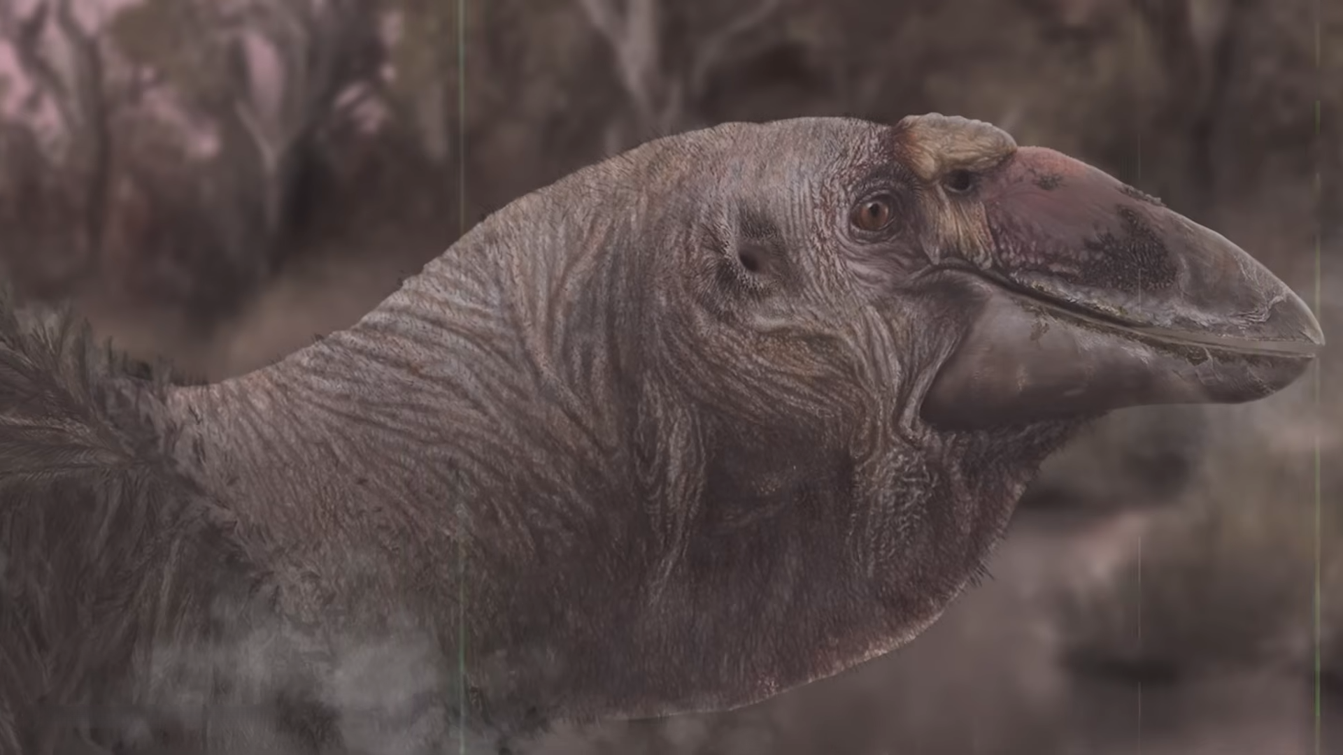 Scientists thought this giant bird was a predator - then the evidence ...