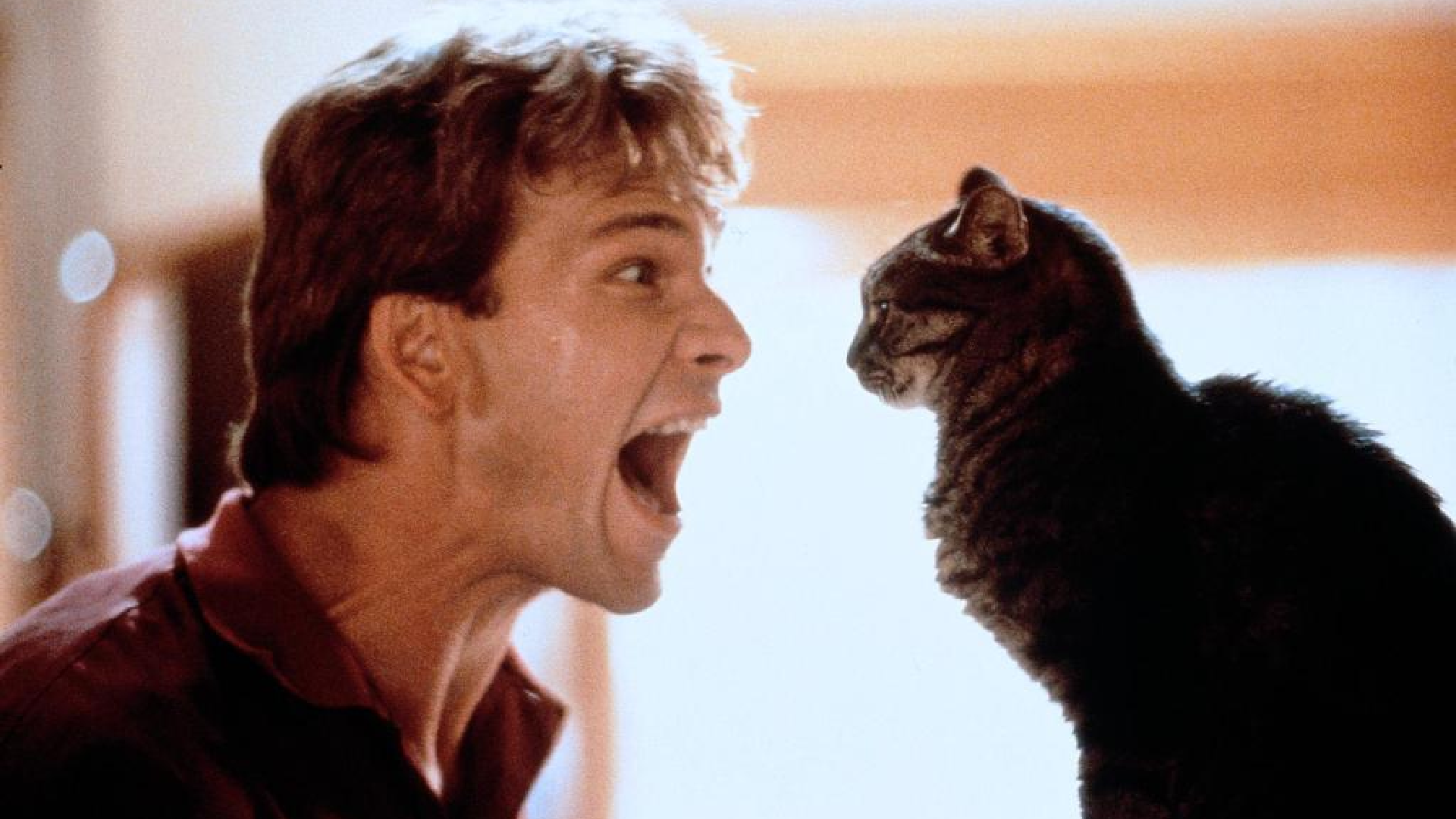 Zum Tod von Patrick Swayze: Der König der Tanzfilme, der niemals mehr ...