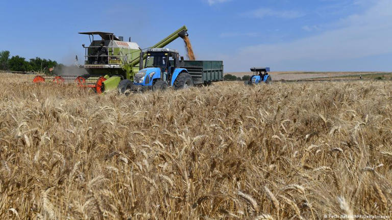 Farmers are grappling with more unpredictable weather conditions as a result of a warming world